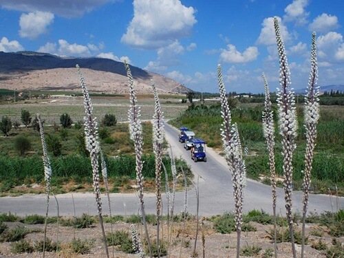 פארק המעיינות